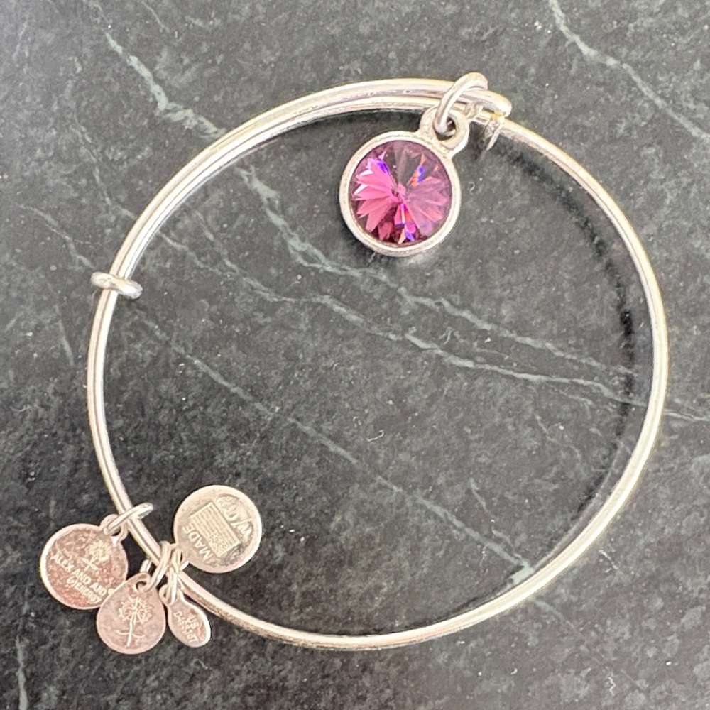 Alex and Ani Silver Charm Bracelet with Purple Crystal